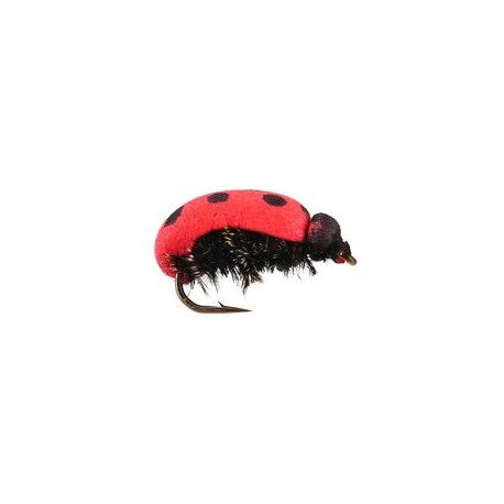 Terrestrials Lady Bug Foam $2.99