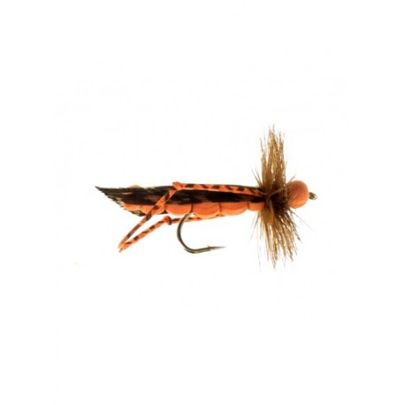 Terrestrials logue foam hopper $2.99