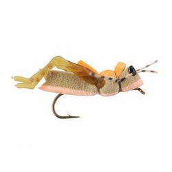 Terrestrials More or Less Hopper  Peach $2.99