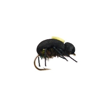 Terrestrials Peacock Beetle $2.99