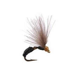 Terrestrials Smooth Black Brown Ant $2.99