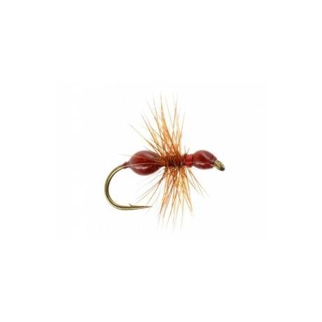 Terrestrials Transpar Ant (Red) $2.99