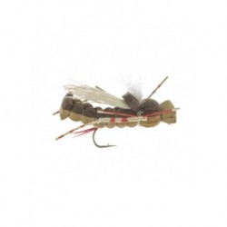 Terrestrials hopper foam $2.99