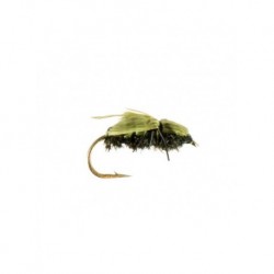 Terrestrials house fly $2.99