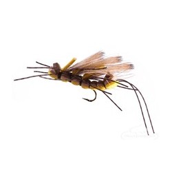 Terrestrials King Kong Salmon Fly Stonefly Adult $2.99