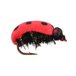 Terrestrials Lady Bug Foam $2.99