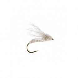 Terrestrials spruce moth $2.99