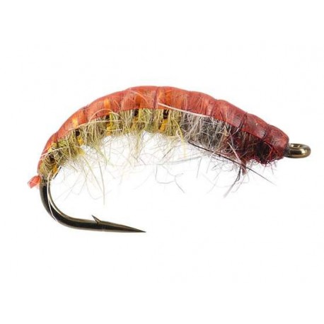 Czech Nymps and Gamarus czech nymph superb terra $2.34