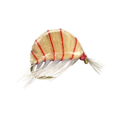 Czech Nymps and Gamarus heavy epoxy shrimp natural $2.34