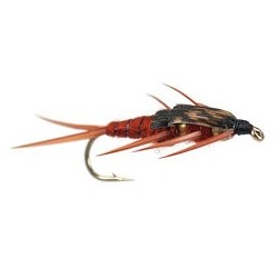 Beaded Nymphs Double BH Brown Stonefly $2.42
