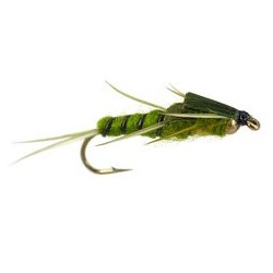 Beaded Nymphs Double BH Green Stonefly $2.42