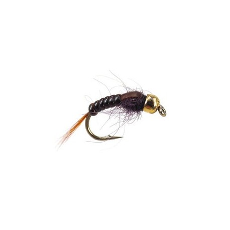 Tungsten Nymphs Ales TG Brown Body Glas $3.00