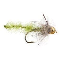 Tungsten Nymphs caddis pupa olive $3.00