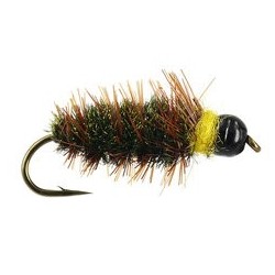 Tungsten Nymphs classic tg peeping caddis $3.00