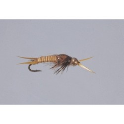 Tungsten Nymphs Golden Epoxyback Stone  TNG WTD $3.00