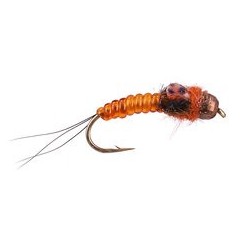 Tungsten Nymphs ivans tg body glass orange $3.00