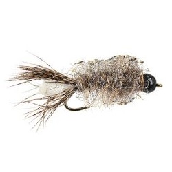 Tungsten Nymphs stanleys tg deep peeping caddis $3.00