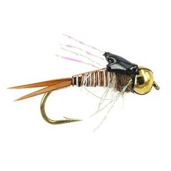 Tungsten Nymphs tg epoxy back montana flash $3.00