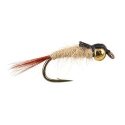Tungsten Nymphs tg grhe nymph $3.00