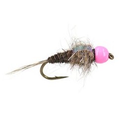 Tungsten Nymphs tg red neck pheasant tail $3.00