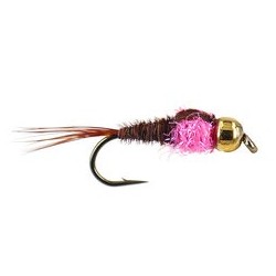 Tungsten Nymphs tg tactical pheasant tail pink collar $3.00
