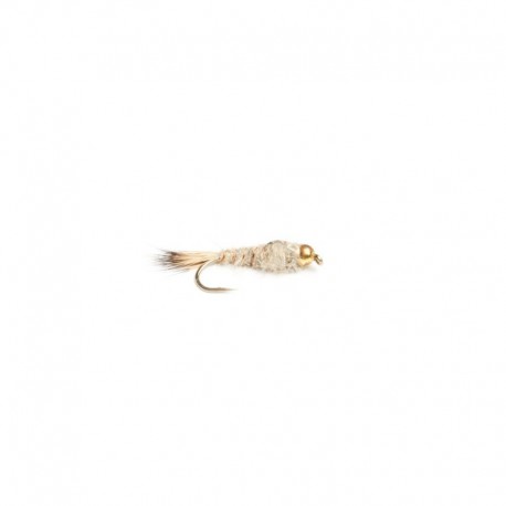 Beaded Nymphs Heraeyra pupa $2.42