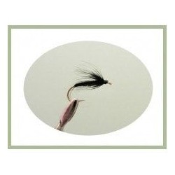 Wets black spider wet fly $2.34