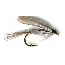 Wets blue dun wet button $2.34