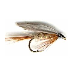 Wets grhe wet button $2.34