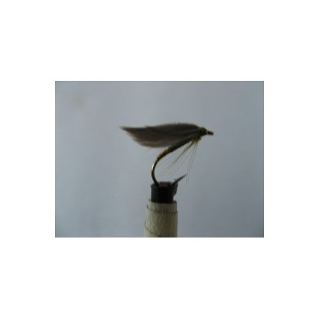 Wets olive gold butt winged spider $2.34