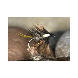 Wets HaresEarCEKatie $2.34