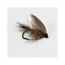 Wets hares ear wet $2.34