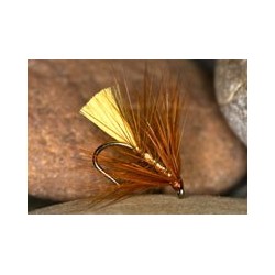 Wets PTWWickhams $2.34