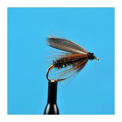 Wets Leadwing Coachman Wet Fly $2.34