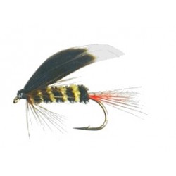 Wets McGinty Bee.gif $2.34