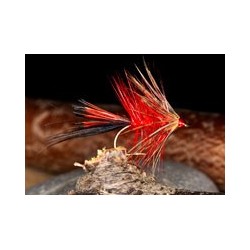 Wets HamelsSpiderB $2.34