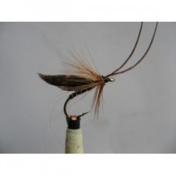 Wets murrough brown wet $2.34