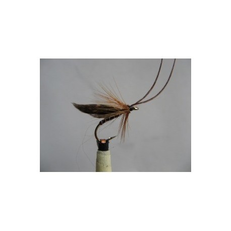 Wets murrough brown wet $2.34