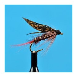 Wets Montreal Wet Fly $2.34