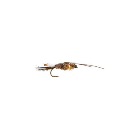 Beaded Nymphs Peeping Caddis Grizzly $2.42