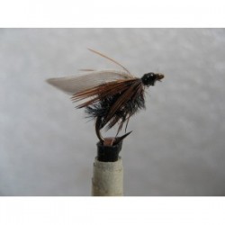 Wets haul a gwynt welsh $2.34