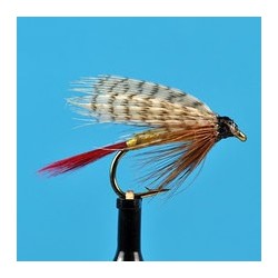 Wets Professor Wet Fly $2.34