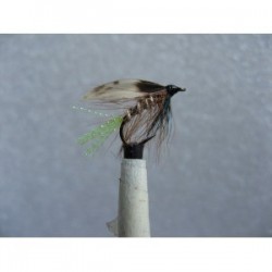 Wets silver invicta twinkle wet $2.34