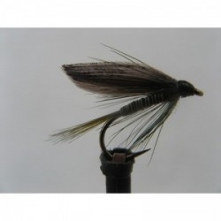 Wets olive quill wet $2.34