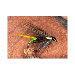 Wets GrnButtConnBlack $2.34