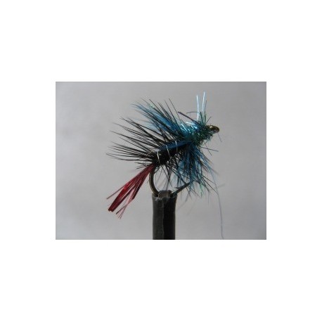 Wets blue zulu lite brite $2.34