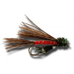 Wets Doc Spratley Red $2.34