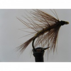 Wets wickhams wingless wet $2.34