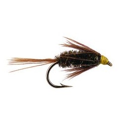 Wets Carey Spezial Peacock $2.34