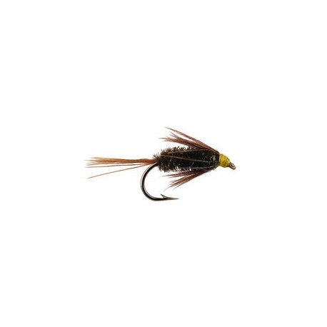 Wets Carey Spezial Peacock $2.34